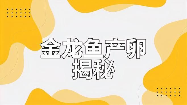 龍魚的繁殖方法