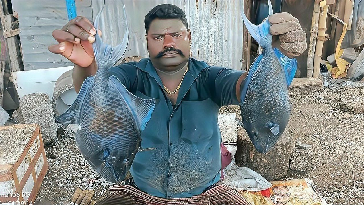 鎧甲魚是什么品種 鎧甲魚是什么品種 龍魚百科 第4張