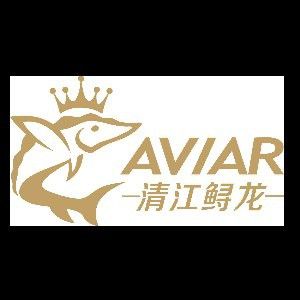 武漢紅龍魚拍賣公司