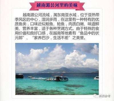 龍魚是巴沙魚嗎怎么養：巴沙魚與龍魚的區別