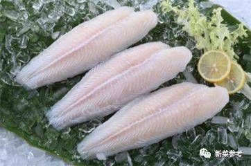 龍魚是巴沙魚嗎怎么養：巴沙魚與龍魚的區別