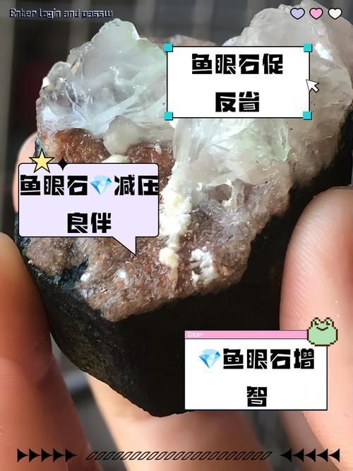藍寶石魚咬魚最怕三個東西圖片