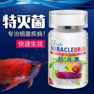 預防龍魚掉眼的方法有哪些？：如何預防龍魚掉眼