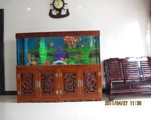 餐廳掛龍魚圖好不好風水：餐廳掛龍魚圖好不好