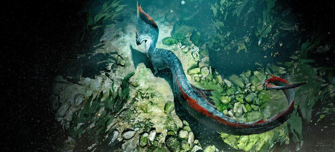 深海黑龍魚圖片大全