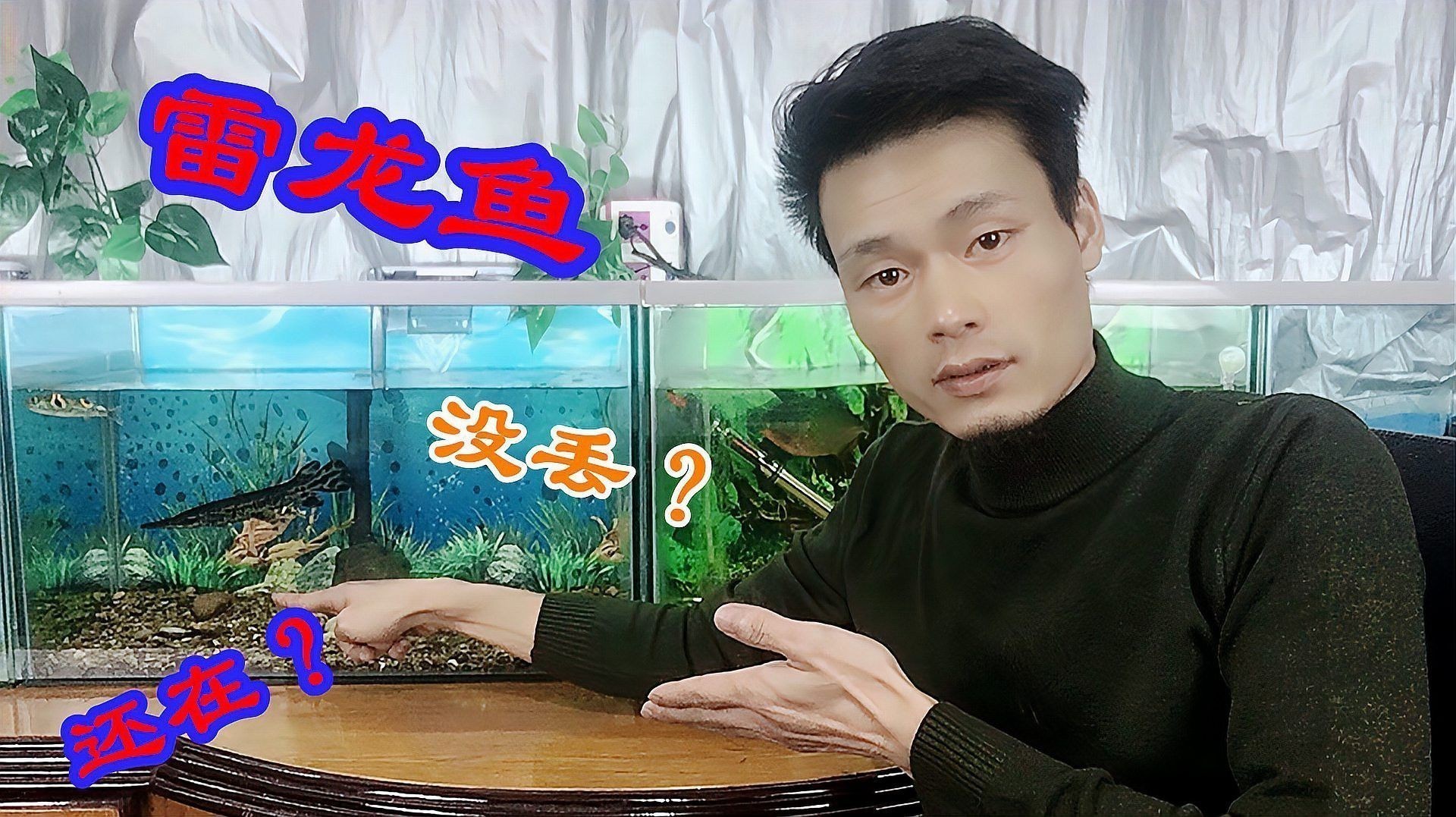 什么雷龍魚好養