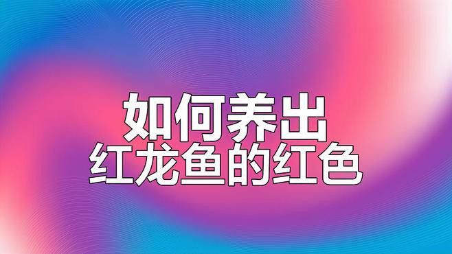 如何保持紅龍魚腮部顏色鮮艷？