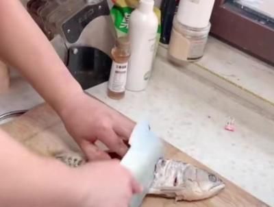 手被銀龍魚咬破出血怎么辦