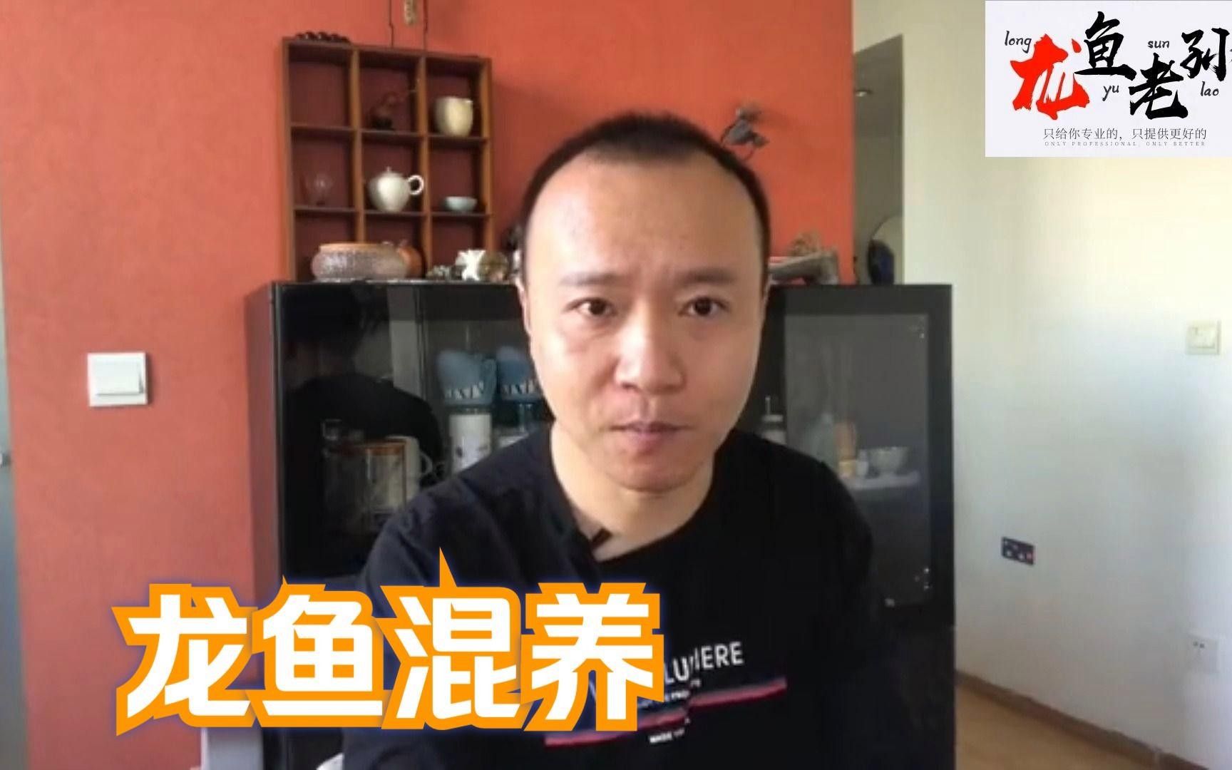 龍魚混養多久會打架？