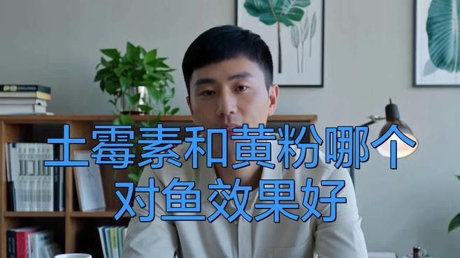 龍魚爛鰭爛尾用黃粉還是土霉素
