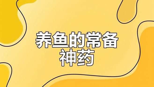 龍魚爛鰭爛尾用黃粉還是土霉素