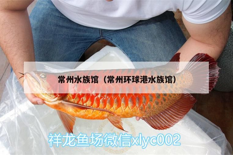 <strong><mark>常州</mark></strong>水族館（<strong><mark>常州</mark></strong>環(huán)球港水族館）