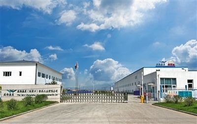 金龍魚生物科技：金龍魚涉及的生物科技公司
