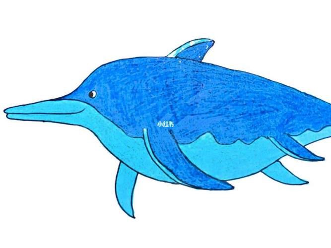 恐龍魚的圖片簡筆畫