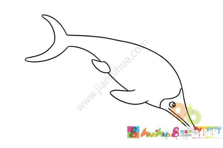 恐龍魚的圖片簡筆畫