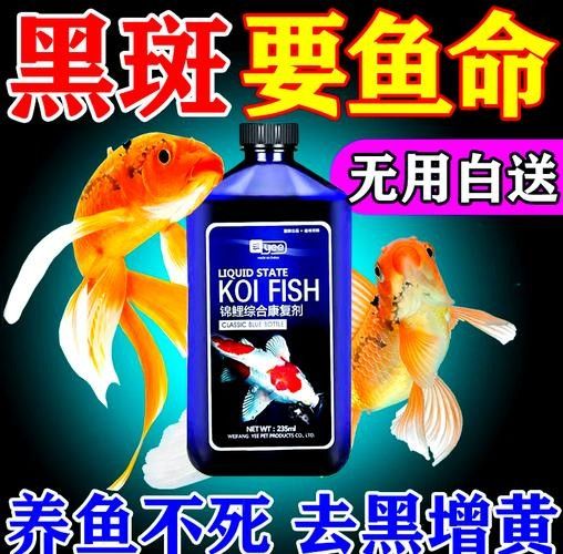 銀龍魚身上有黑點圖片