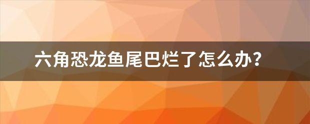 六角恐龍魚尾巴有白點(diǎn)：六角恐龍魚傷口護(hù)理技巧
