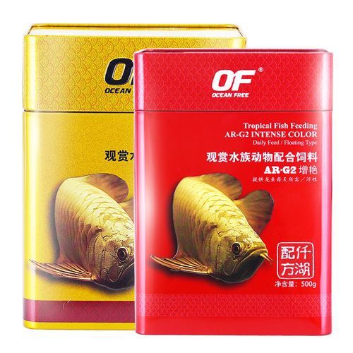 紅龍魚品牌排行榜圖片