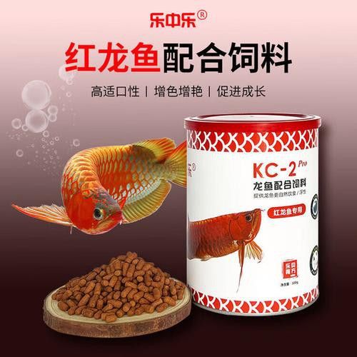 紅龍魚品牌排行榜圖片
