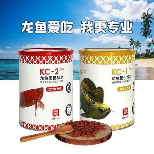 紅龍魚品牌排行榜圖片