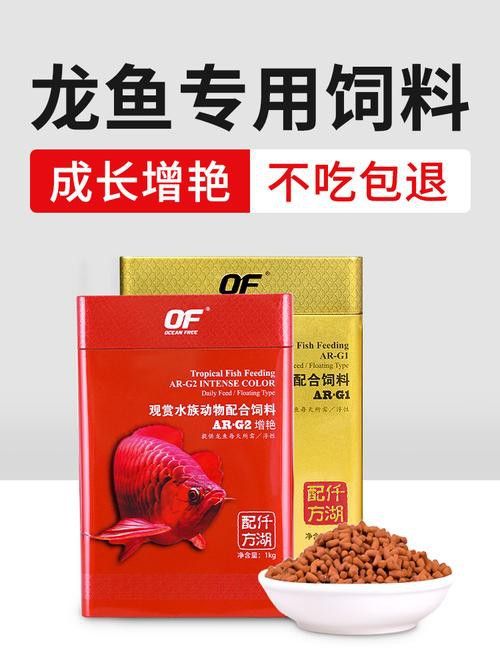 紅龍魚品牌排行榜圖片