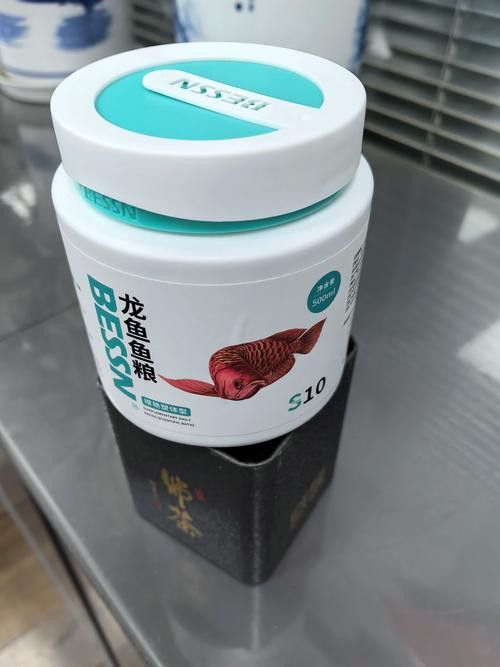 紅龍魚品牌排行榜圖片