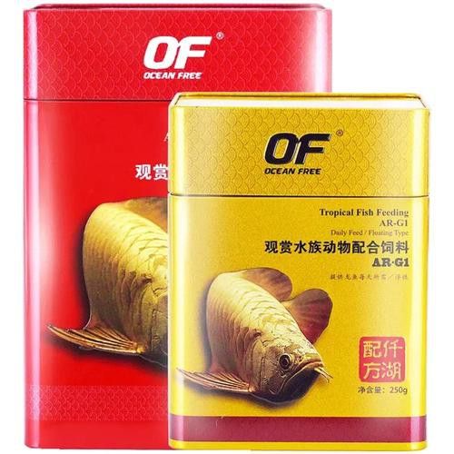 紅龍魚品牌排行榜圖片