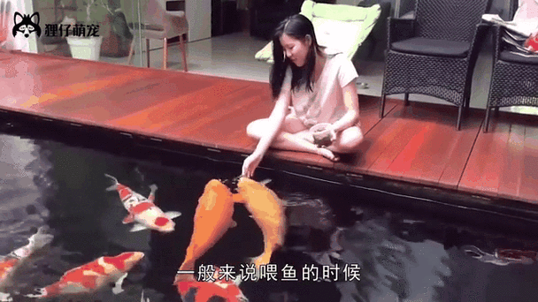 如何判斷金龍魚的營養是否充足？ 如何判斷金龍魚的營養是否充足？ 龍魚百科 第4張