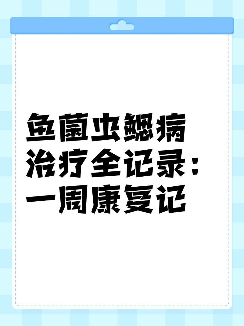 魚細(xì)菌感染怎么處理
