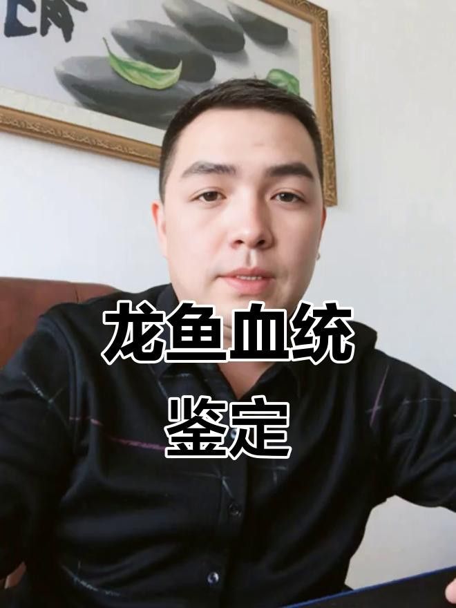 金龍魚的血統特征有哪些？ 金龍魚的血統特征有哪些？ 龍魚百科 第9張