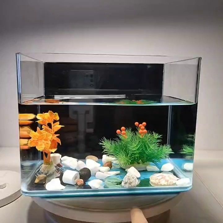 銀龍魚用什么顏色的背景帖紙畫