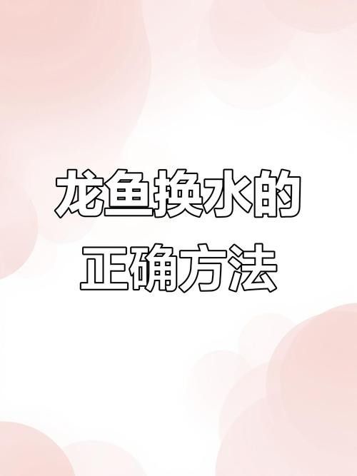 龍魚老是趴缸怎么辦啊圖片