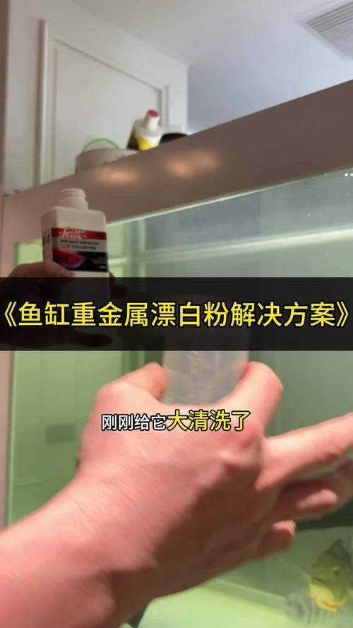 龍魚老是趴缸怎么辦啊圖片