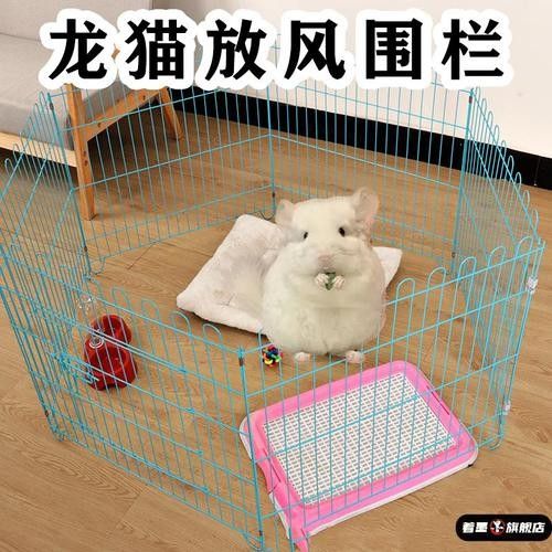 龍貓放風時需要準備哪些東西？