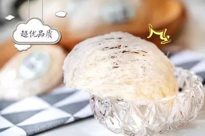 馬來西亞燕窩的選購技巧，如何辨別馬來西亞燕窩真假 馬來西亞燕窩的選購技巧，如何辨別馬來西亞燕窩真假 龍魚百科 第1張
