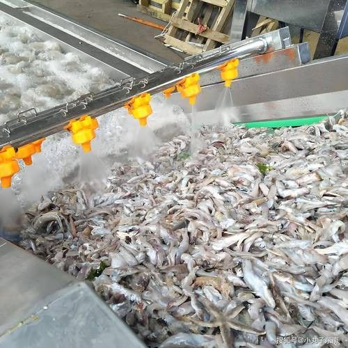 金龍魚生產(chǎn)車間圖片