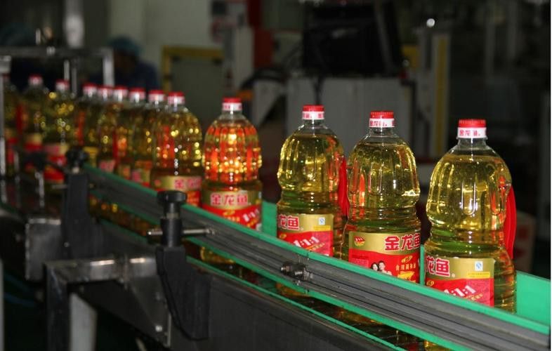 金龍魚生產(chǎn)車間圖片