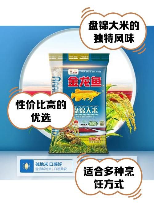 金龍魚生產(chǎn)車間圖片