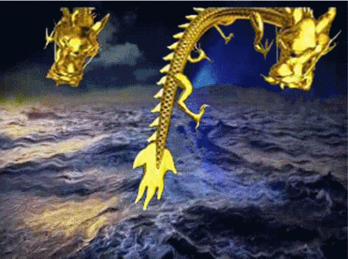 哪里可以找到高清的金龍GIF？ 哪里可以找到高清的金龍GIF？ 龍魚百科 第9張