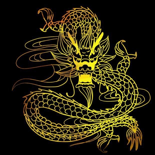 哪里可以找到高清的金龍GIF？ 哪里可以找到高清的金龍GIF？ 龍魚百科 第13張