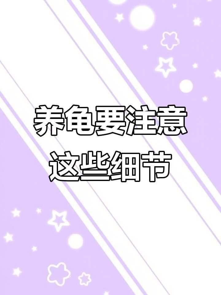 龍龜放魚缸里有哪些具體危害？
