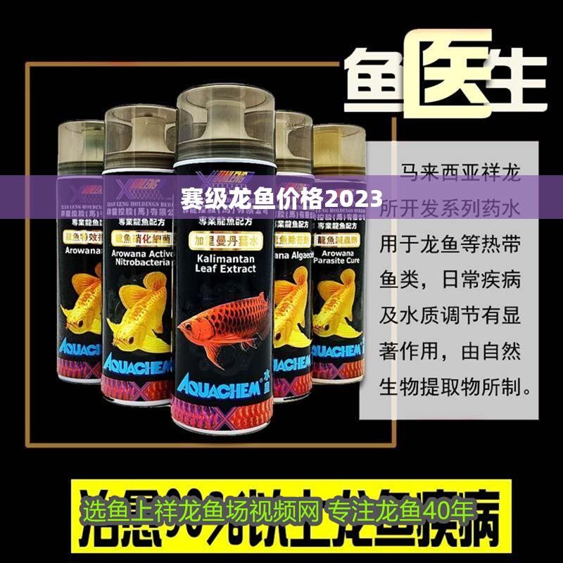 2023廣州龍魚比賽