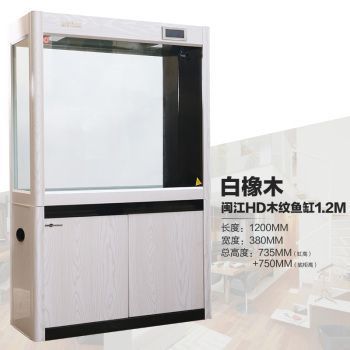 龍魚用多寬的缸合適：龍魚缸寬度如何選擇