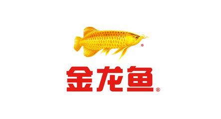金龍魚圖案設計理念怎么寫的（金龍魚圖案設計理念）