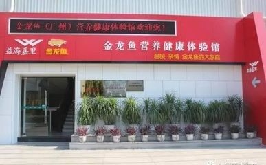 廣州金龍魚批發市場在哪里（廣州金龍魚批發市場）