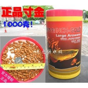 金龍魚的喂食量和頻率取決于其大小和生長階段：金龍魚一天的喂食量和頻率取決于其大小和生長階段 金龍魚的喂食量和頻率取決于其大小和生長階段：金龍魚一天的喂食量和頻率取決于其大小和生長階段 龍魚百科 第2張