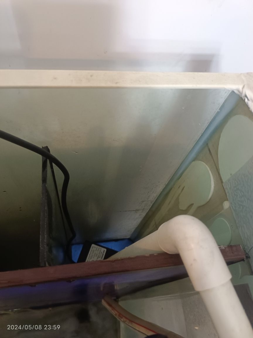 小紅金龍魚的價格是多少：小紅金龍魚10公分多少錢
