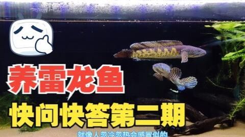 雪龍魚最佳飼養(yǎng)水溫范圍：雪龍魚最佳飼養(yǎng)水溫范圍查詢