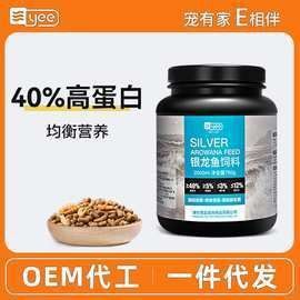 銀龍魚的市場價格是多少？