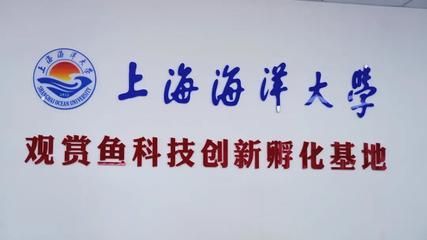 紅龍魚怎么做檢疫，紅龍魚檢疫后如何轉養